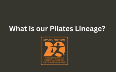 Our Pilates Lineage